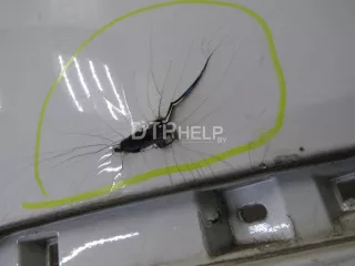 5C5807417ADGRU Бампер задний Volkswagen Beetle 1 Арт AM81045807, вид 4