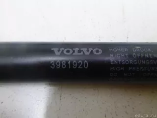 3981920 Volvo Амортизатор бокового ящика Volvo FH Арт E4266595, вид 5