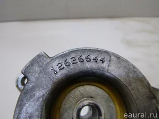 12626644 GM Ролик-натяжитель ручейкового ремня Cadillac CTS 2 Арт E22953821, вид 13