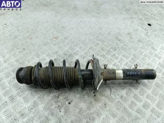  Стойка подвески передняя правая Skoda Octavia A4 Арт 54664550, вид 1