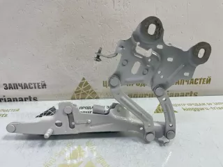 41007427126 Петля капота BMW X1 F48 Арт TP113137, вид 1