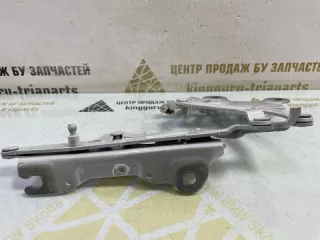 41007427126 Петля капота BMW X1 F48 Арт TP113137, вид 4