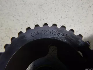 12612838 GM Шестерня ГРМ Chevrolet TrailBlazer 2 Арт E12856965, вид 5