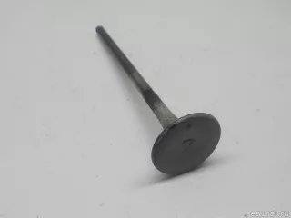 14721P2A000 Honda Клапан выпускной Honda Accord 9 Арт E40814474, вид 4