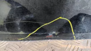  Дверь багажника со стеклом Honda Pilot 3 Арт E23654563, вид 12