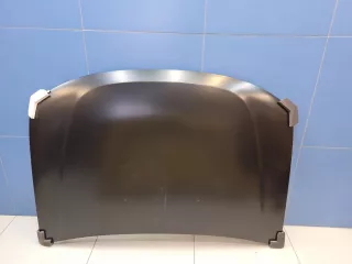 DC60001500000 Капот Renault Duster 1 Арт ZAP347786
