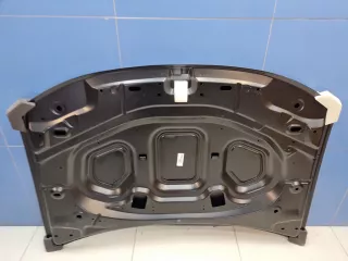 DC60001500000 Капот Renault Duster 1 Арт ZAP347786, вид 2