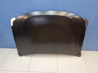 DC60001500000 Капот Renault Duster 1 Арт ZAP347786, вид 5