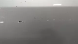 12779117,12780128 Ручка наружная задняя правая серебристая Saab 9-3 1 Арт 11068584, вид 3