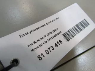 391C02RGA0 Hyundai-Kia Блок управления двигателем Kia Sorento 4 Арт E81073416, вид 6