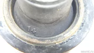 55530L1200 Hyundai-Kia Стойка стабилизатора задняя Kia K5 3 Арт E70599427, вид 6