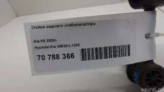55530L1200 Hyundai-Kia Стойка стабилизатора задняя Kia K5 3 Арт E70788366, вид 6