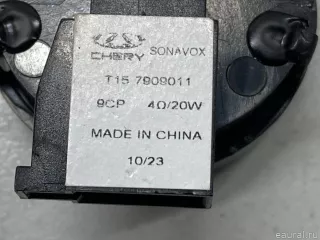 T157909011 Chery Динамик Chery Tiggo  2 Арт E31666382, вид 7