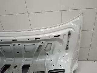 41007440695 Крышка багажника  BMW 5 G30/G31 Арт BBBs250418105, вид 14