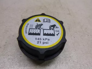 1301104 Ford Крышка расширительного бачка Ford Kuga 1 Арт E48554438, вид 1