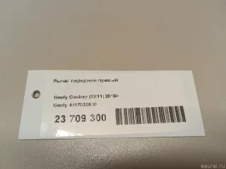4017020500 Geely Рычаг передний правый Geely Coolray Арт E23709300, вид 10