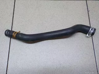 8200002620 Renault Шланг системы охлаждения Renault Laguna 2 Арт E31284858, вид 3