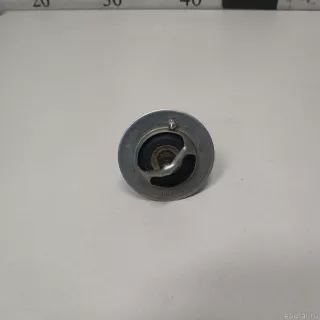 21200ED00A Nissan Термостат Mitsubishi Outlander 3 restailing 2 Арт E22537576, вид 1