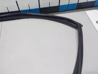 803300148R Renault Уплотнитель стекла двери Renault Koleos Арт E52286830, вид 5