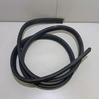 8200733171 Renault Уплотнитель двери Renault Sandero 1 Арт E23726958