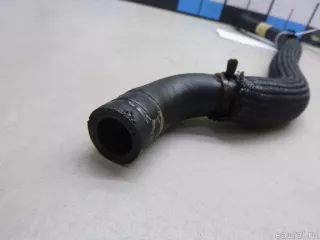 497174119R Renault Шланг гидроусилителя (ГУР) Renault Sandero 2 Арт E60665791, вид 3