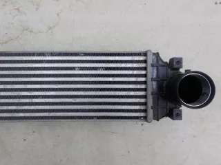 2074143900 Интеркулер (радиатор турбины) Geely Coolray Арт BIT762802, вид 9