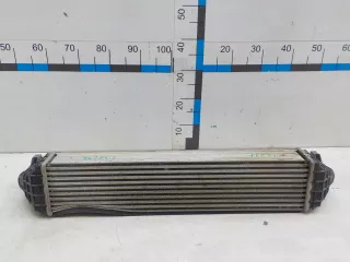 2074143900 Интеркулер (радиатор турбины) Geely Coolray Арт BIT762802, вид 10