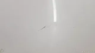 4G0831052 VAG Дверь передняя правая Audi TT 3 Арт E70790086, вид 9