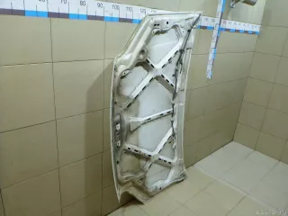 5149226 Ford Капот Ford Tourneo Арт E100556833, вид 11