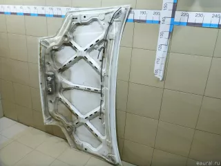 5149226 Ford Капот Ford Tourneo Арт E100556833, вид 12