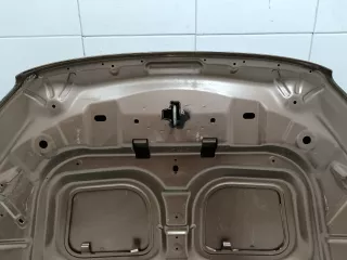 651007207r Капот Lada X-RAY Арт bs250418131, вид 12