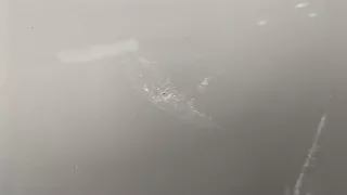 51227281939,7281939 Замок двери задней левой BMW 2 F45/F46 Арт 11338964, вид 3