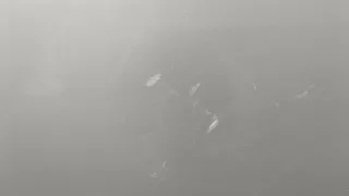 41517294229,7294229 Дверь передняя левая серебристая BMW 2 F45/F46 Арт 20273850, вид 4