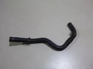 MN116251 Mitsubishi Вакуумный усилитель тормозов Mitsubishi Monter 4 Арт E22702997, вид 3