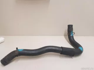 254112E101 Hyundai-Kia Патрубок радиатора Kia Sportage 2 Арт E23542904, вид 2