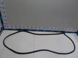 821304D000 Hyundai-Kia Уплотнитель двери Kia Carnival 2 Арт E51451089, вид 4