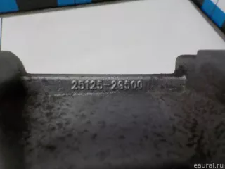 251252G500 Hyundai-Kia Насос антифриза (помпа) Kia Sportage 3 Арт E52434542, вид 13