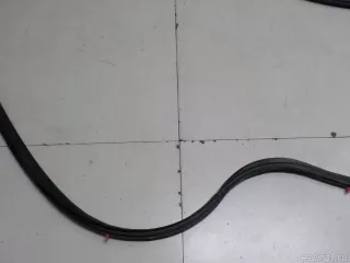 831401H500 Hyundai-Kia Уплотнитель двери Kia Ceed 1 Арт E52446579, вид 6