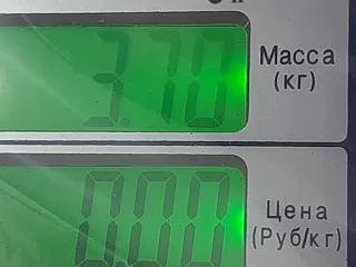  Суппорт задний правый Ford Galaxy 1 restailing Арт AG1092339, вид 4