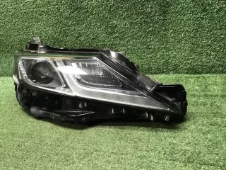 8114533G00 Фара правая Toyota Camry XV70 Арт 0000007761676, вид 5