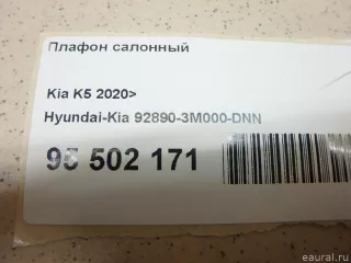 928903M000DNN Hyundai-Kia Плафон салонный Kia K5 3 Арт E95502171, вид 2