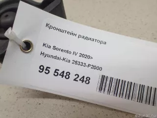25333P2000 Hyundai-Kia Кронштейн радиатора Kia Sorento 4 Арт E95548248, вид 7