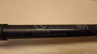 81840Q5000 Hyundai-Kia Амортизатор двери багажника Kia Seltos Арт E95768241, вид 4