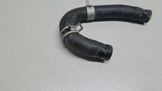 254202R000 Hyundai-Kia Шланг системы охлаждения Kia Sorento 4 Арт E23589813, вид 6