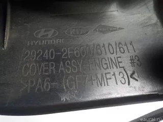 292402F611 Hyundai-Kia Накладка декоративная Kia Sportage 4 Арт E41220329, вид 3