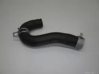 283252R001 Hyundai-Kia Шланг Kia Sorento 4 Арт E41224561, вид 2
