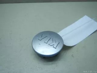 529604Y500 Hyundai-Kia Колпак декор. легкосплавного диска Kia Rio 3 Арт E60579101, вид 1