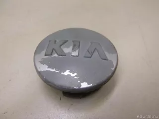 529604Y500 Hyundai-Kia Колпак декор. легкосплавного диска Kia Rio 3 Арт E60640522, вид 1