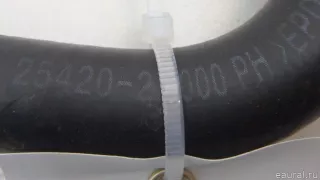 254202R000 Hyundai-Kia Шланг системы охлаждения Kia Sorento 4 Арт E70577758, вид 6