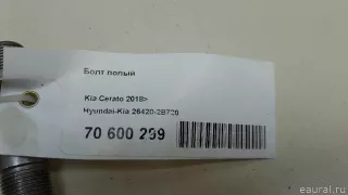 264202B720 Hyundai-Kia Болт полый Kia Ceed 3 Арт E70600299, вид 4